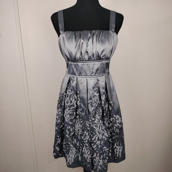 NWT R & M Richards Iridescent Silver Embroidered Fit & Flare Midi Dress Sz. 6 - Picture 3 of 14